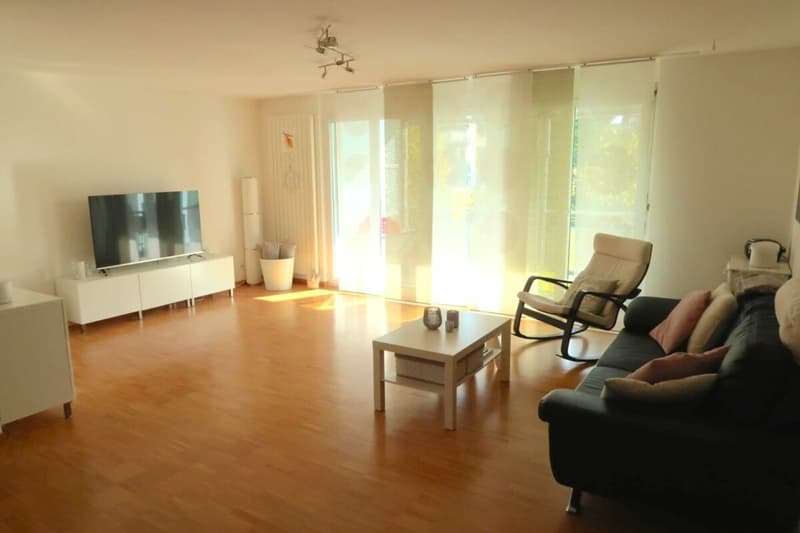 Appartamento familiare di 4,5 locali luminoso (2)