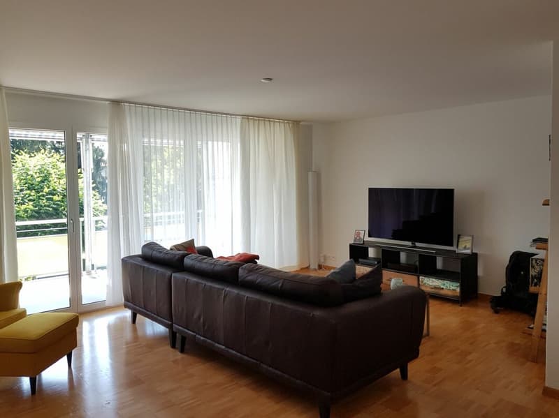 Spacious 5.5-room family apartment (2)