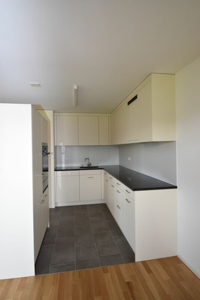 2.5-Zimmer Dachwohnung an zentraler Lage (3)