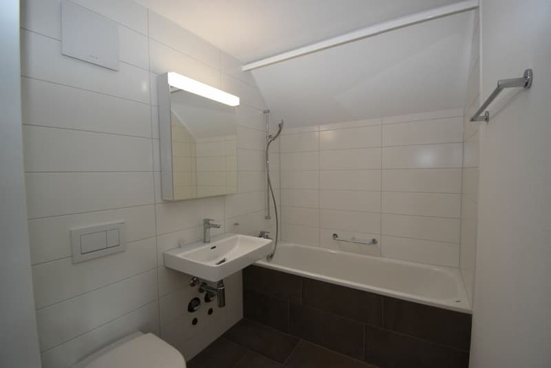2.5-Zimmer Dachwohnung an zentraler Lage (5)