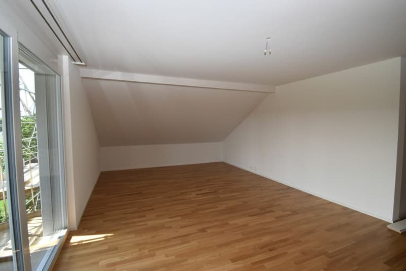 2.5-Zimmer Dachwohnung an zentraler Lage (1)