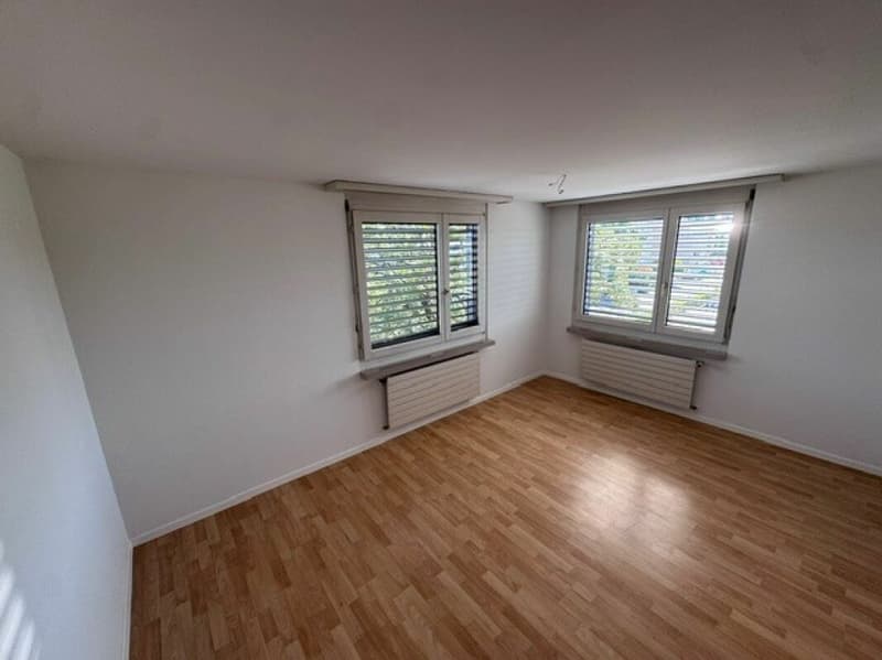 Teilsanierte 4.5-Zimmer Familienwohnungen, Nebenkosten inkl. (8)