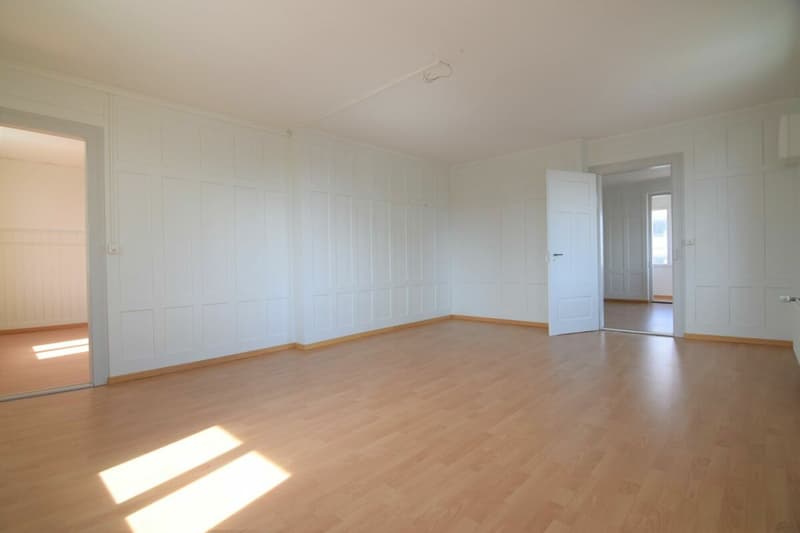 Heimelige 3.5-Zimmerwohnung im Erdgeschoss (1)