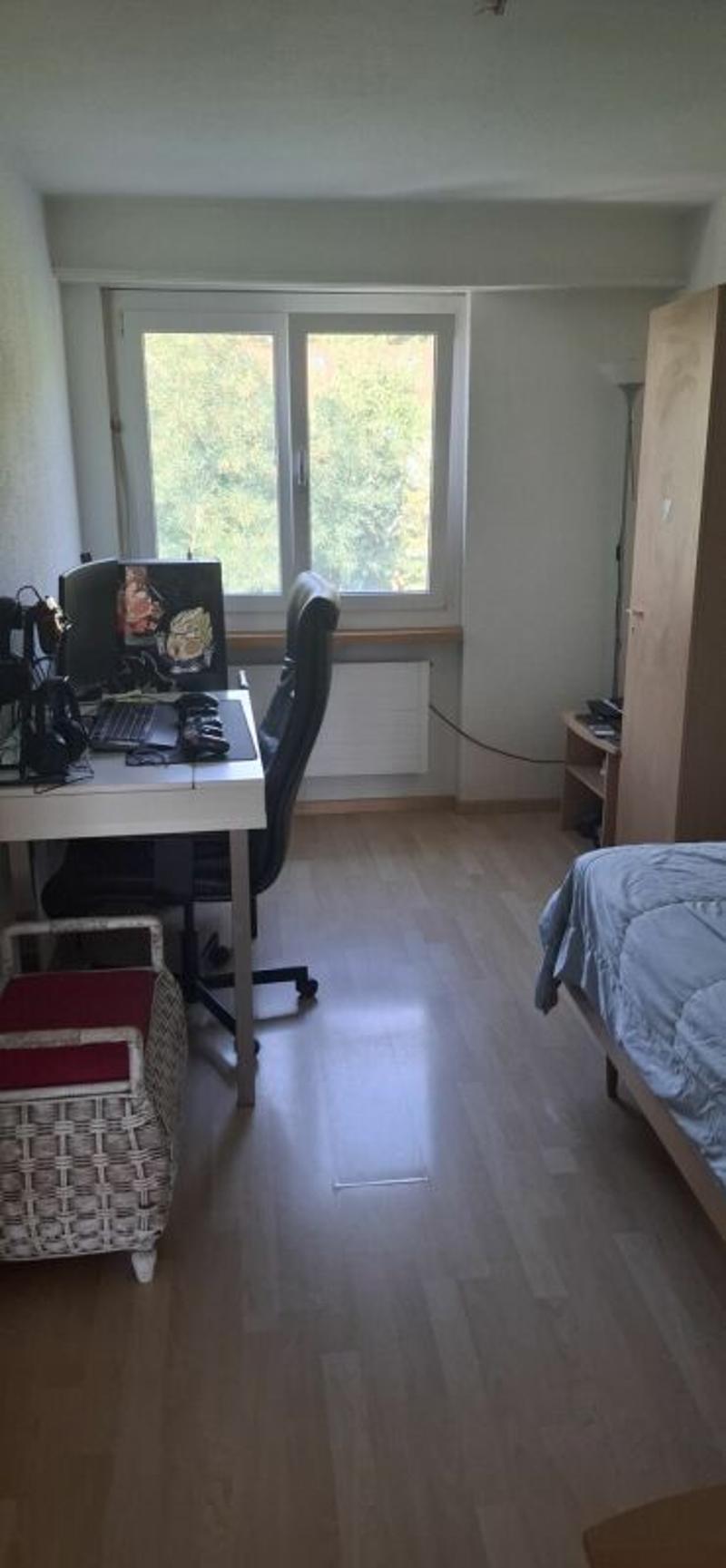 3.5-Zimmerwohnung mit Charme und Komfort (9)