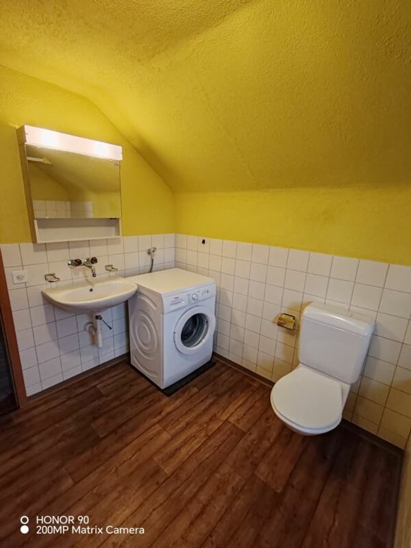 2.5 Dachgeschoss Wohnung (4)