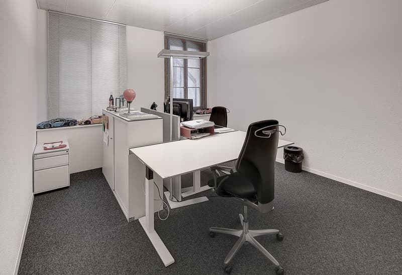 Surface commerciale et bureaux au centre ville (9)