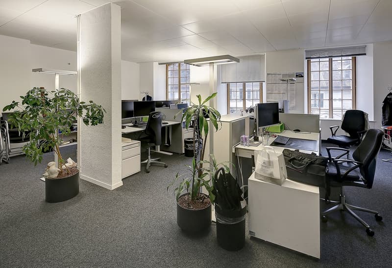 Surface commerciale et bureaux au centre ville (7)