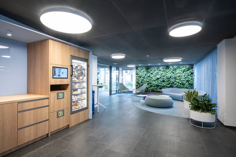 modern office, hardwood cabinet, desk, monitor, mini refrigerator, table, chairs, green wall, plants