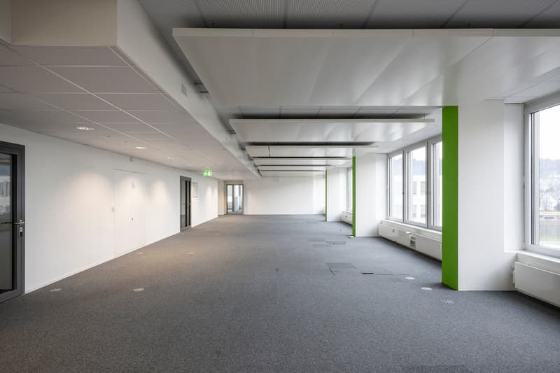 Empty hallway with white walls, gray carpet, glass windows, radiators
