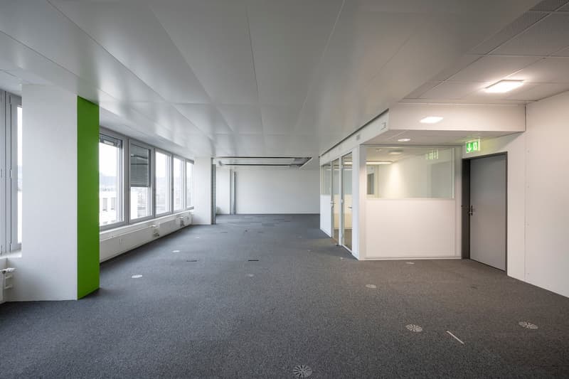 large open space with windows, glass wall office section, carpet floor