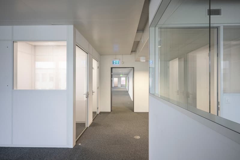 a long hallway, carpeted floor, glass walls, white walls, doors leading to rooms, emergency signs