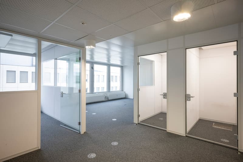 Open room with two glass doors, large windows, white walls, ceiling lights, floor radiators