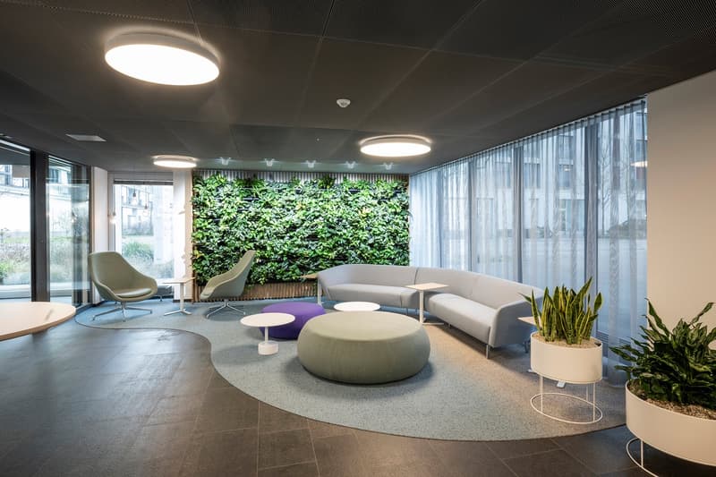 Open plan office with a green wall, carpet, desks, chairs, large round seating, plants, and lights.