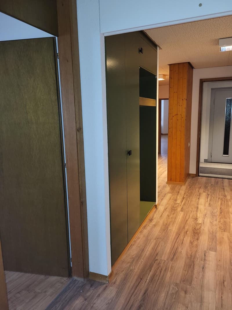 Hardwood floor, green wall, wooden closet, wooden pillar, closed doors