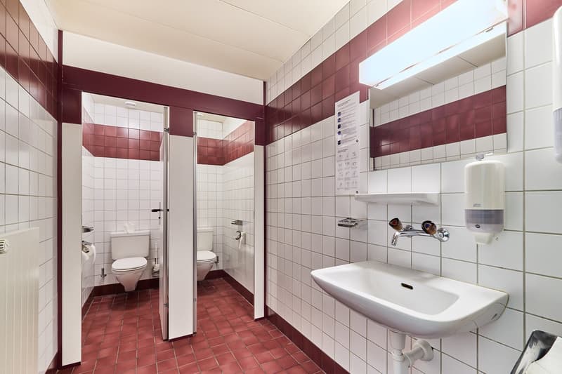 Tiled walls, tile floor, toilet, sink, light fixture, mirror, hand soap dispenser, toilet paper holder