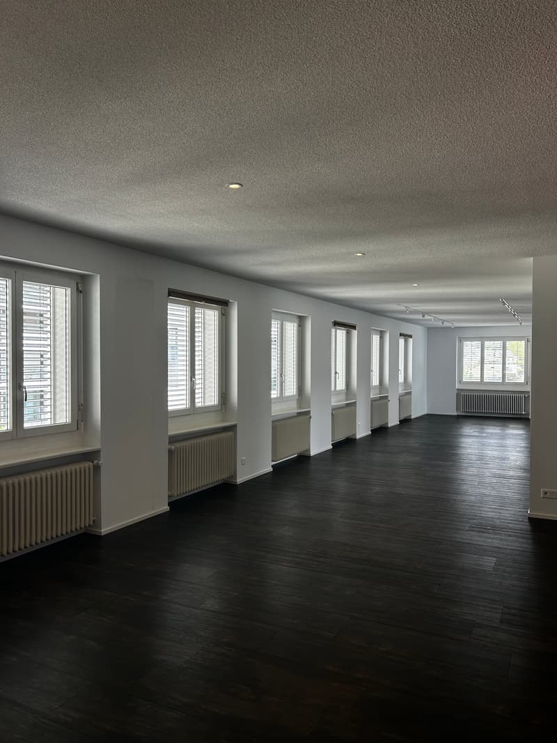 Exceptional design apartment with open living concept in the heart of Reinach (5)