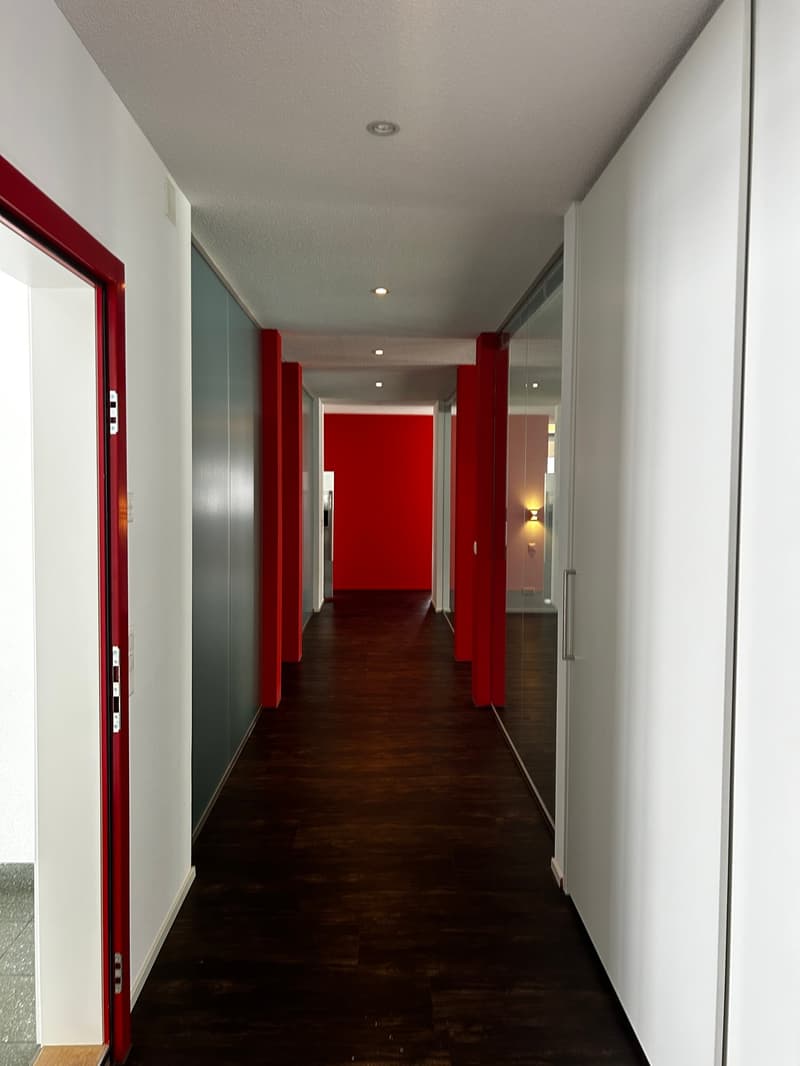 Exceptional design apartment with open living concept in the heart of Reinach (3)