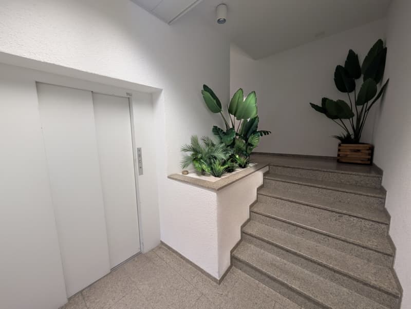 White elevator doors, granite staircase, white walls, two potted plants