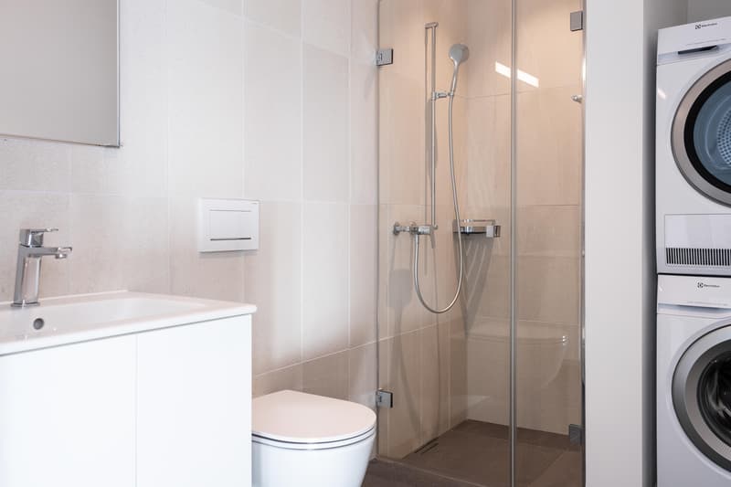 Dusche / WC mit Waschturm