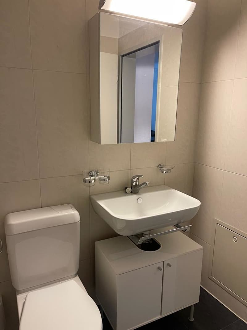 BAD/WC Blick 2