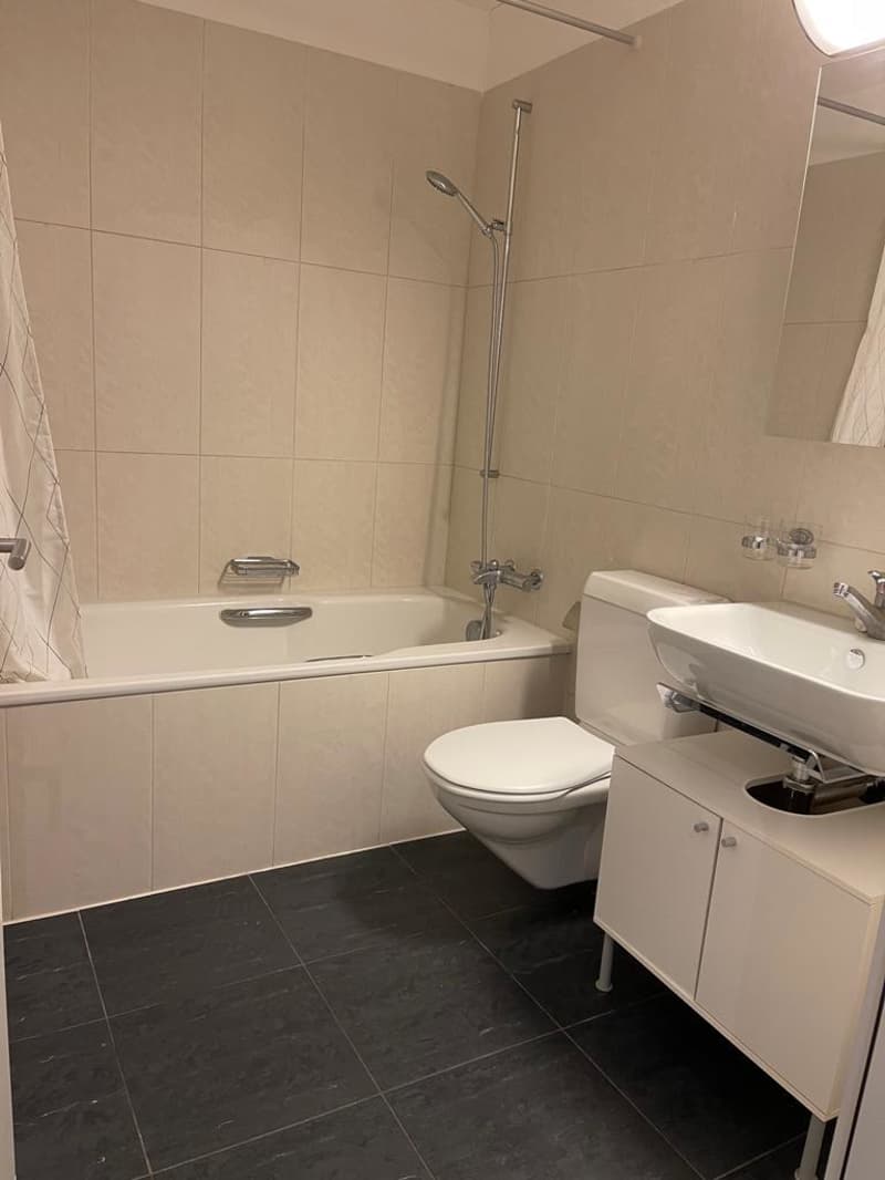 BAD/WC Blick 1
