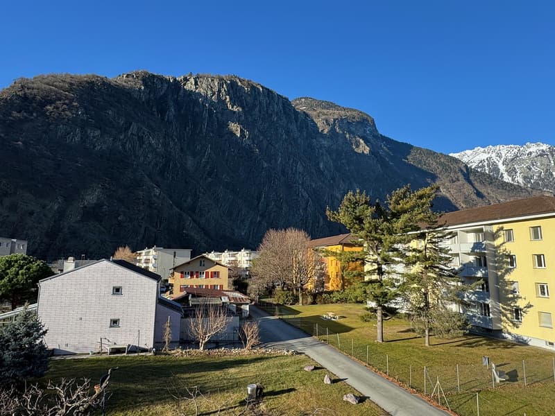 Vue du balcon (02.02.2026)
