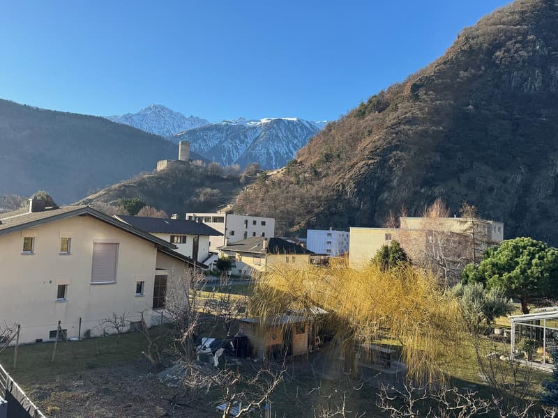 Vue du balcon (02.02.2026)