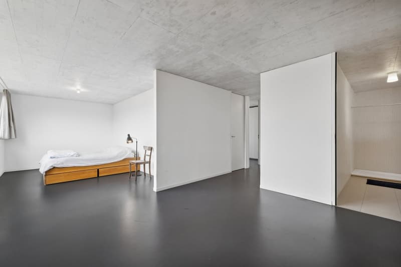 Moderne Villa im Herzen von Bernex, absolute Ruhe (14)