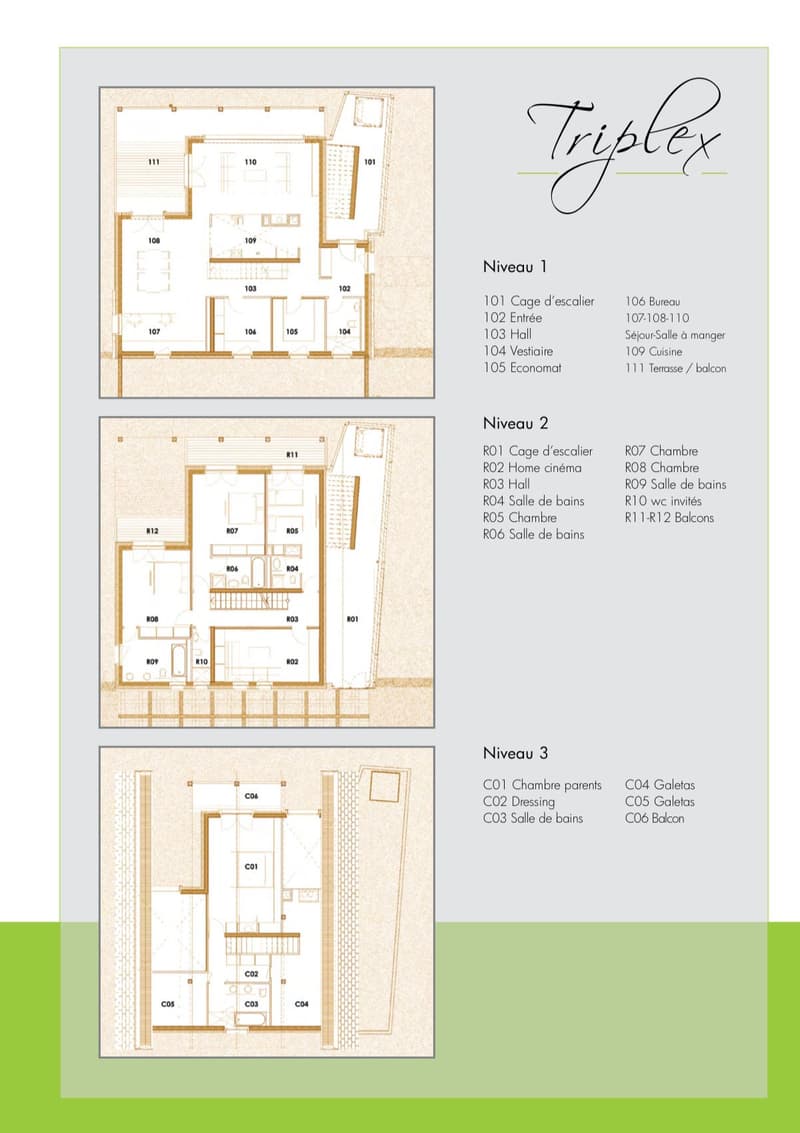 The image shows the floor plans for a property called 'Triplex'. The plans are divided into 3 levels - Niveau 1, Niveau 2, and Niveau 3. Each level contains various rooms and spaces, including a living room, kitchen, bedrooms, bathrooms, and a terrace/bal