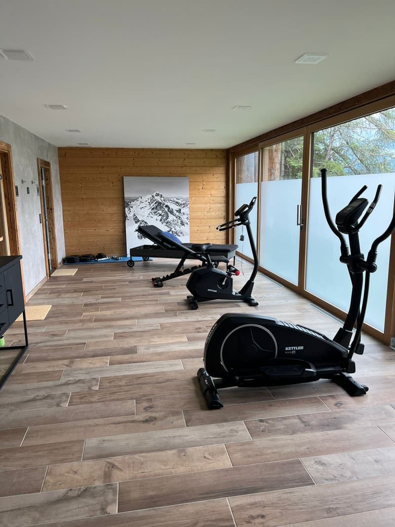 Spacious home gym with wood-paneled walls, large windows, exercise equipment including a treadmill, elliptical machine, and weight bench, and a large wall art piece depicting a snowy mountain landscape.