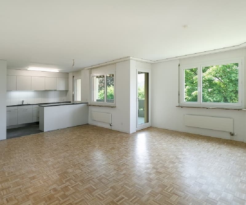 Balcone con sole della sera, cucina moderna aperta sul soggiorno (6)
