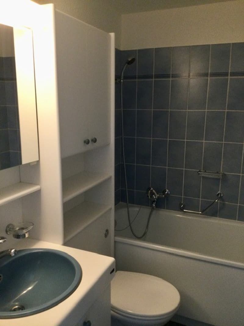 Vicino alla zona ricreativa Lange Erlen. Accanto a Stückizenter (9)