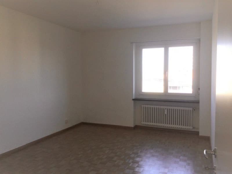 Vicino alla zona ricreativa Lange Erlen. Accanto a Stückizenter (7)