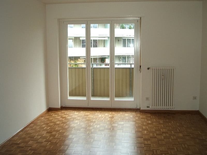 Vicino alla zona ricreativa Lange Erlen. Accanto a Stückizenter (6)