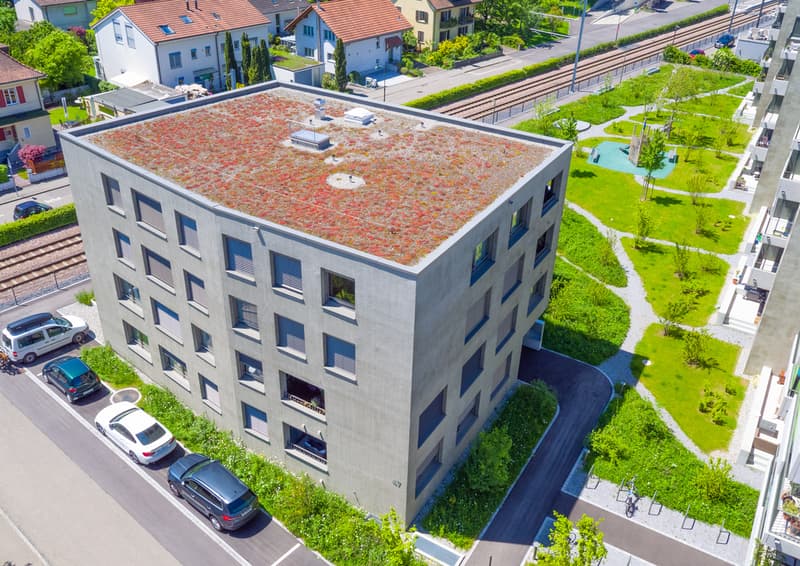 DJI_0917.jpg