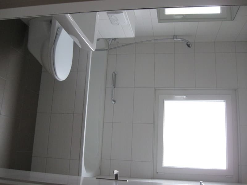 Appartement vaste et lumineux sous les toits (pas d'ascenseur) (7)