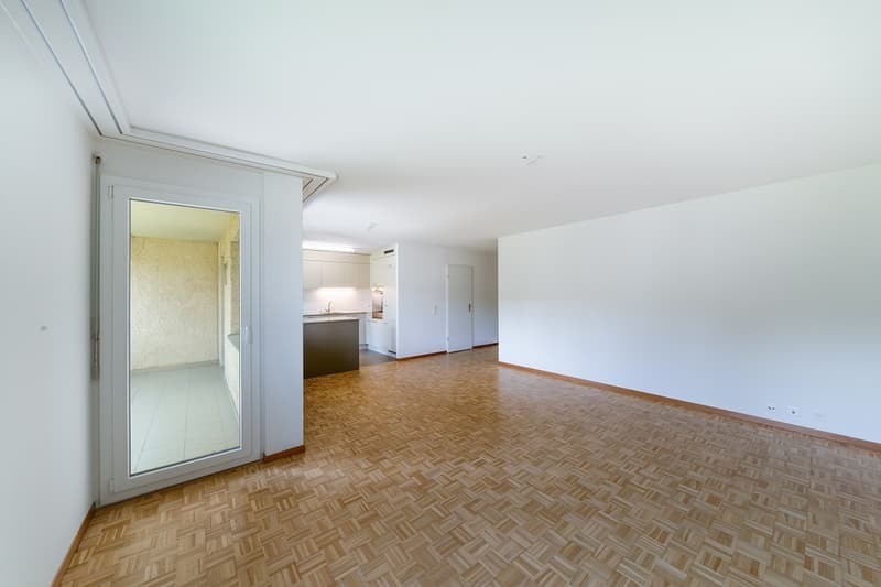 Appartement vaste et lumineux sous les toits (pas d'ascenseur) (3)