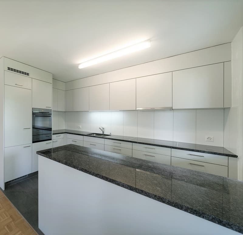 Im Apfelseequartier .Wohnung mit offener Küche und 2 Nassräumen (2)