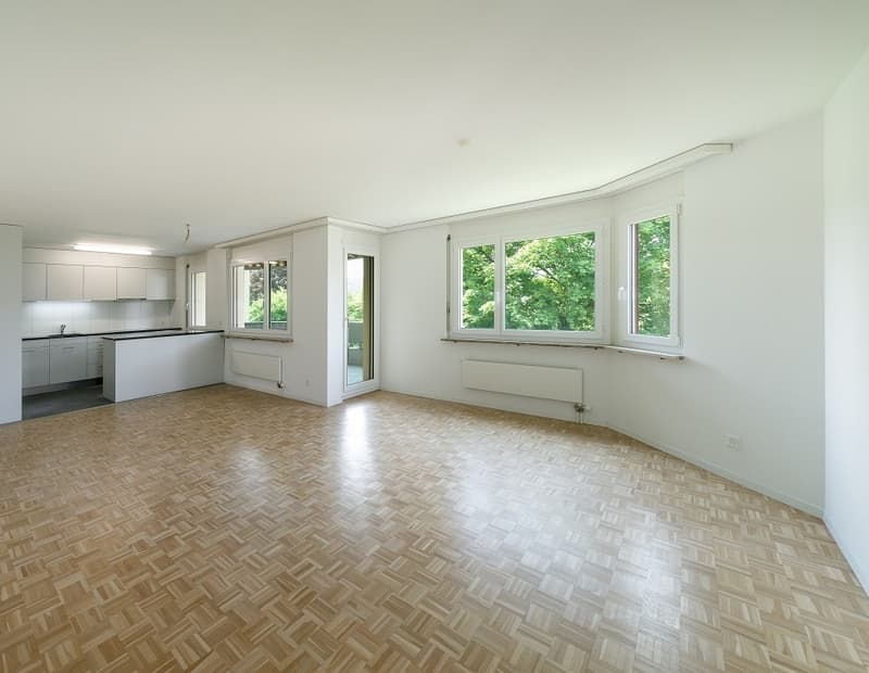 Im Apfelseequartier .Wohnung mit offener Küche und 2 Nassräumen (1)