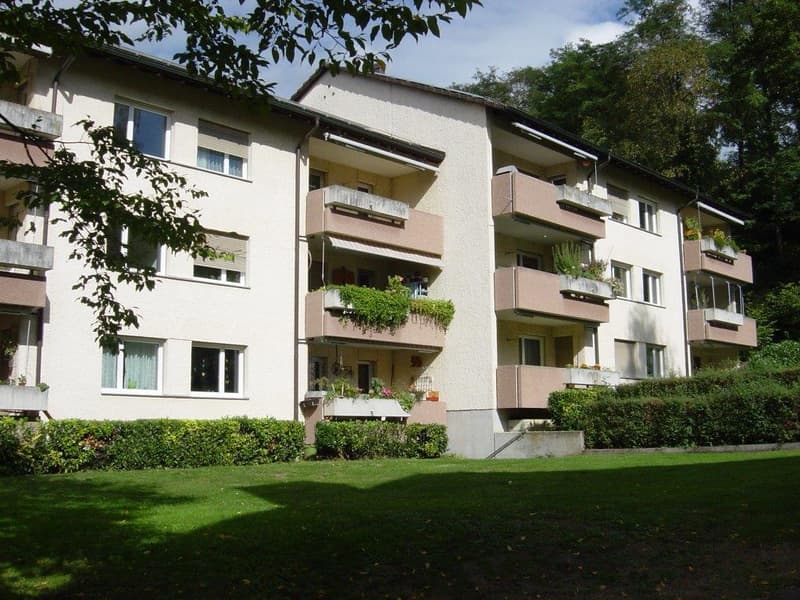 Geräumige, helle Dach-Wohnung (kein Lift) (1)