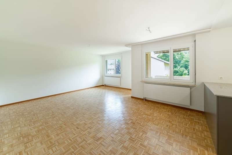 Geräumige, helle Dach-Wohnung (kein Lift) (4)