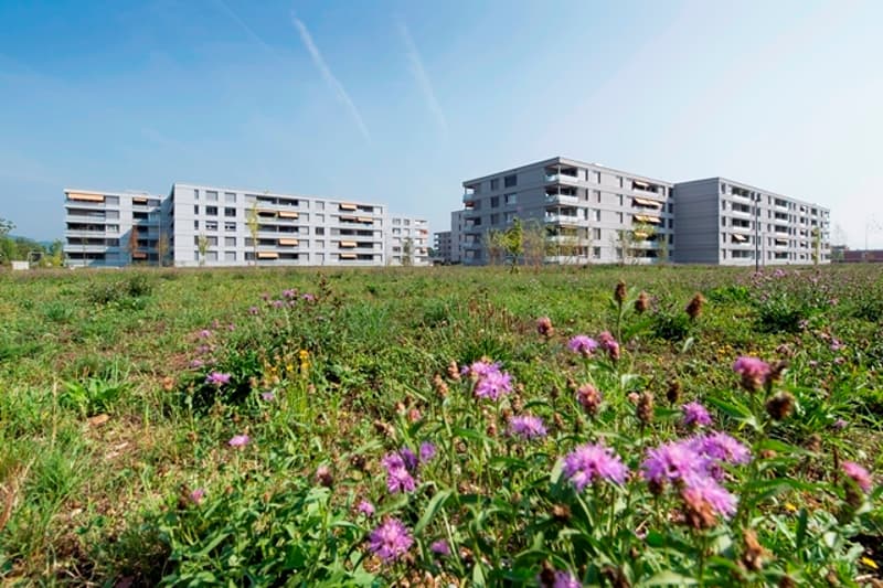 ***3.5ZWG**82m**grosser Eck-Balkon**Abendsonne*** (2)