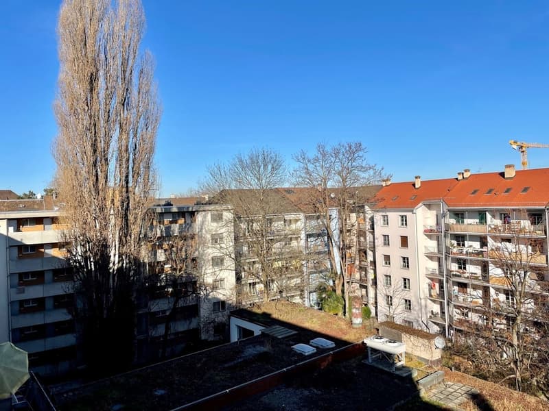 gemütliche 1.-Zimmer-Wohnung (2)