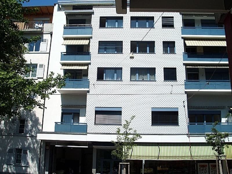 gemütliche 1.-Zimmer-Wohnung (1)