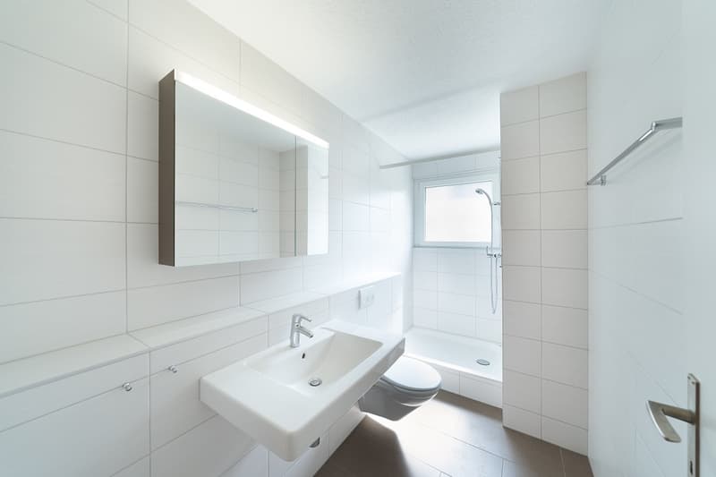 Lichtdurchflutete Wohnung mit Chemine (10)