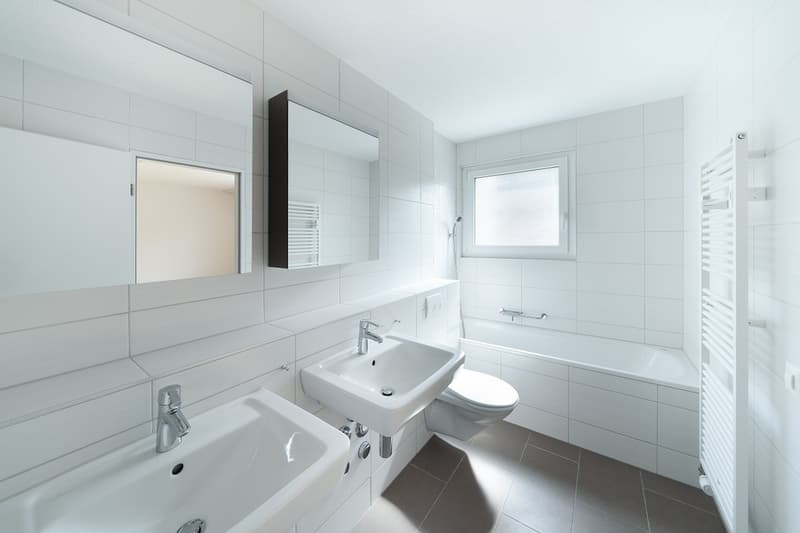 Lichtdurchflutete Wohnung mit Chemine (7)