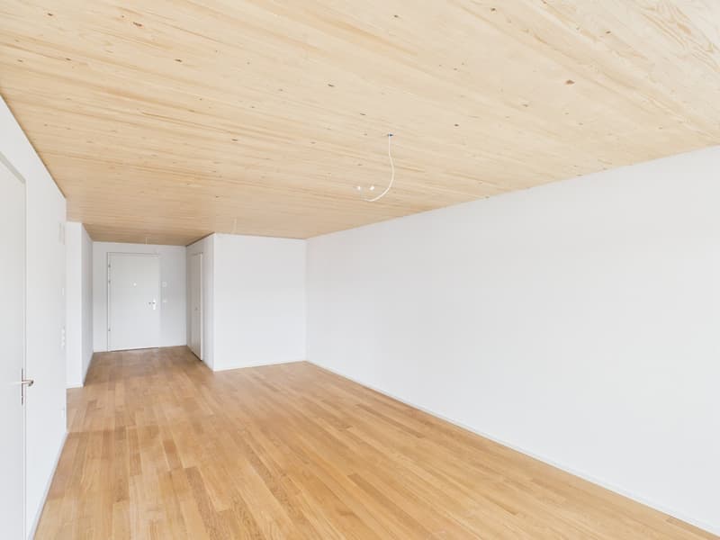 Sunny days, pleasantly cool apartment - modern 2.5-room new building apartment (4)