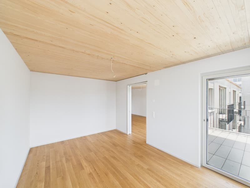 Sunny days, pleasantly cool apartment - modern 2.5-room new building apartment (6)