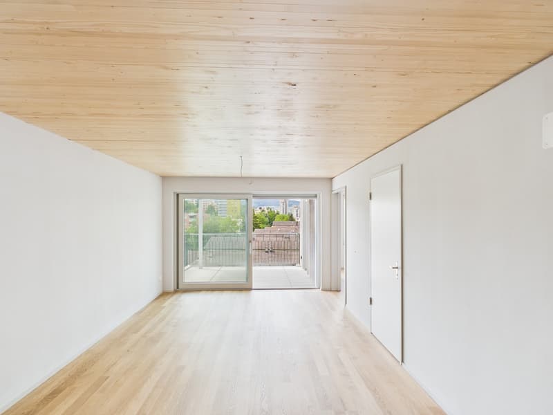 Sunny days, pleasantly cool apartment - modern 2.5-room new building apartment (3)