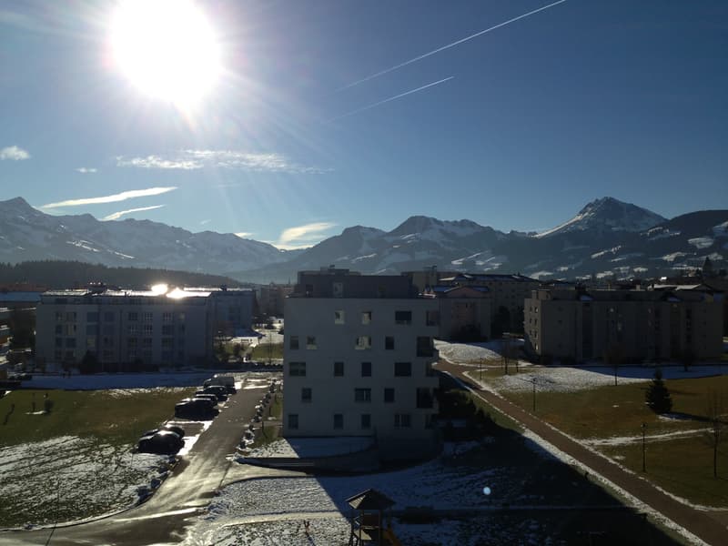 GROßE TERRASSE ZUGÄNGLICH VON ALLEN ZIMMERN! (1)